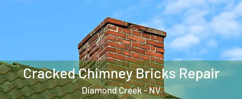 Cracked Chimney Bricks Repair Diamond Creek - NV