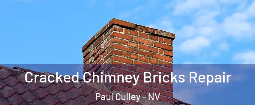Cracked Chimney Bricks Repair Paul Culley - NV