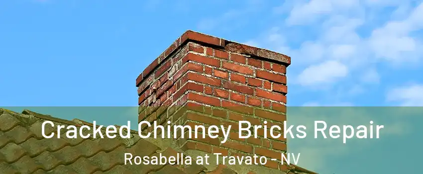 Cracked Chimney Bricks Repair Rosabella at Travato - NV