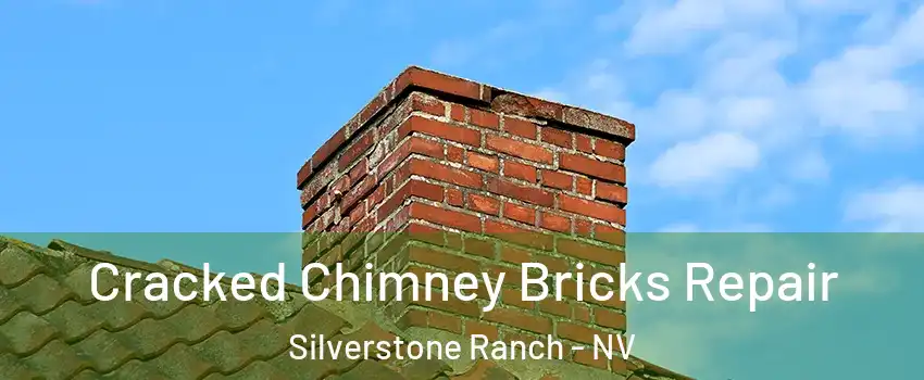 Cracked Chimney Bricks Repair Silverstone Ranch - NV