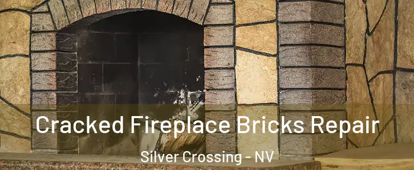 Cracked Fireplace Bricks Repair Silver Crossing - NV