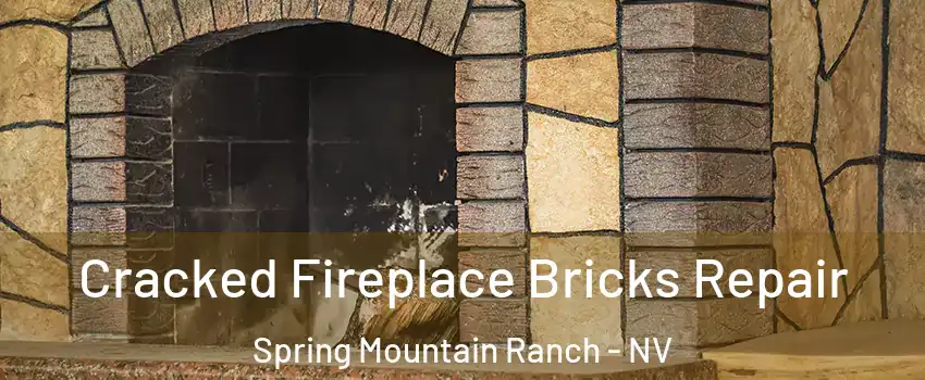 Cracked Fireplace Bricks Repair Spring Mountain Ranch - NV