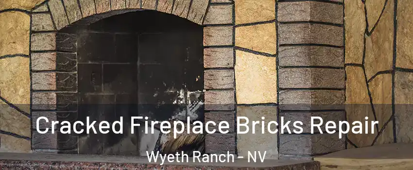 Cracked Fireplace Bricks Repair Wyeth Ranch - NV