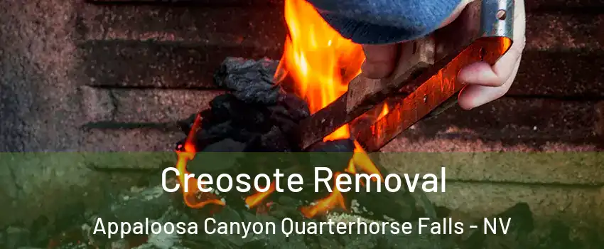Creosote Removal Appaloosa Canyon Quarterhorse Falls - NV