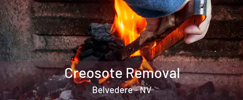Creosote Removal Belvedere - NV