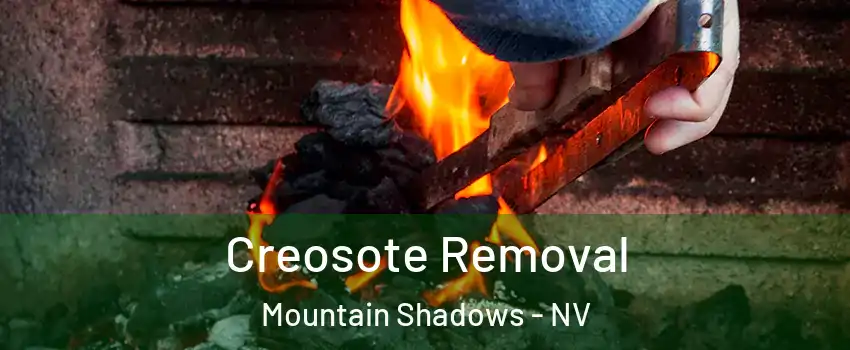 Creosote Removal Mountain Shadows - NV