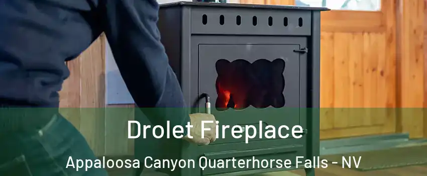 Drolet Fireplace Appaloosa Canyon Quarterhorse Falls - NV