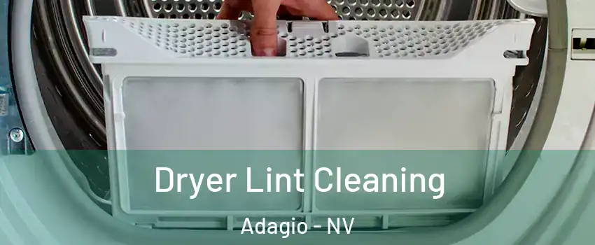 Dryer Lint Cleaning Adagio - NV