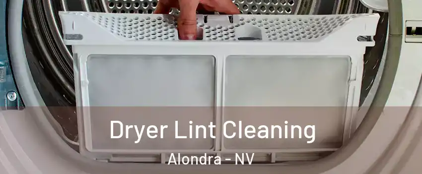 Dryer Lint Cleaning Alondra - NV