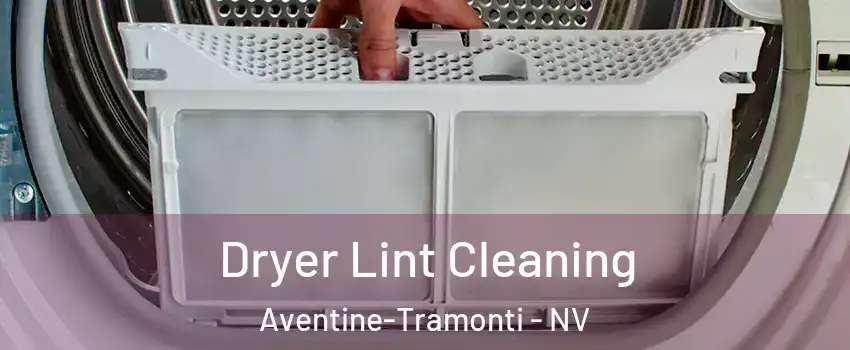 Dryer Lint Cleaning Aventine-Tramonti - NV