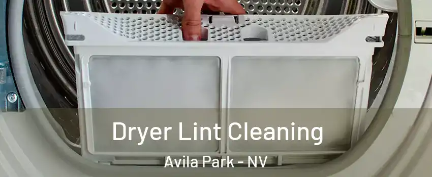 Dryer Lint Cleaning Avila Park - NV
