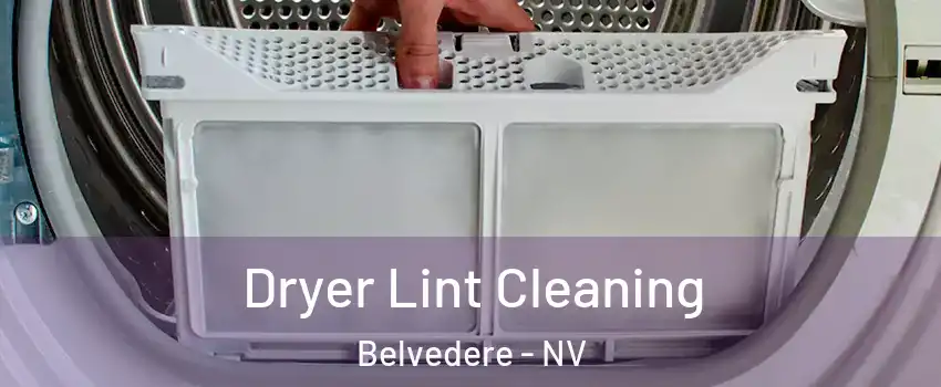 Dryer Lint Cleaning Belvedere - NV