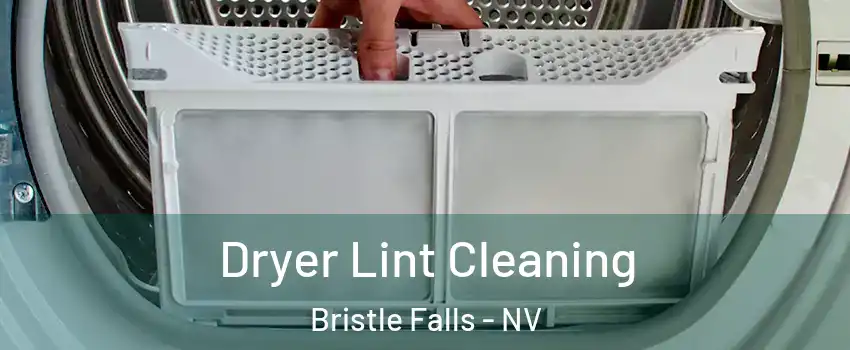 Dryer Lint Cleaning Bristle Falls - NV