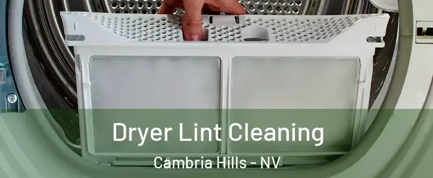 Dryer Lint Cleaning Cambria Hills - NV