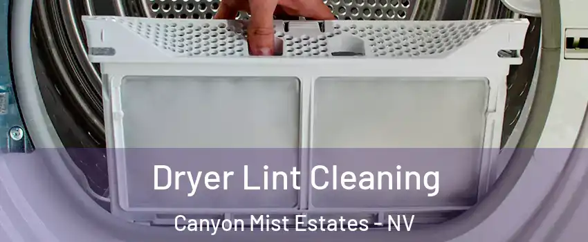 Dryer Lint Cleaning Canyon Mist Estates - NV
