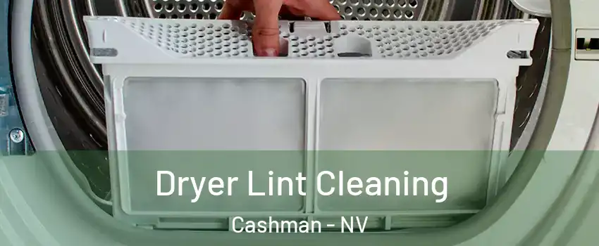 Dryer Lint Cleaning Cashman - NV