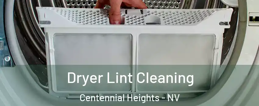 Dryer Lint Cleaning Centennial Heights - NV