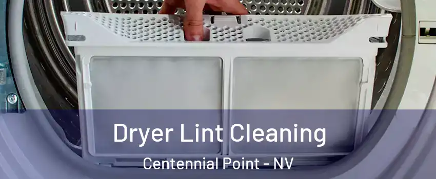 Dryer Lint Cleaning Centennial Point - NV