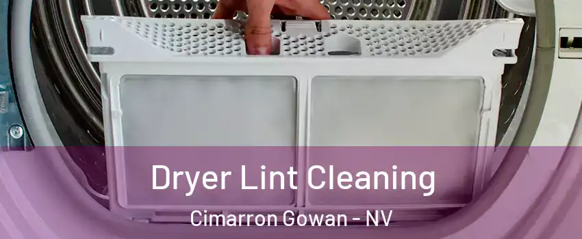 Dryer Lint Cleaning Cimarron Gowan - NV