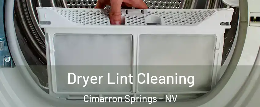 Dryer Lint Cleaning Cimarron Springs - NV