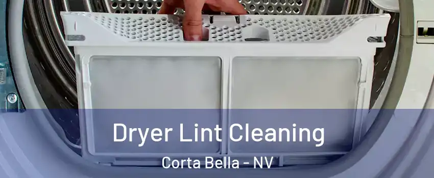 Dryer Lint Cleaning Corta Bella - NV