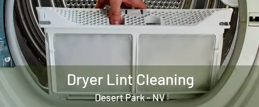 Dryer Lint Cleaning Desert Park - NV