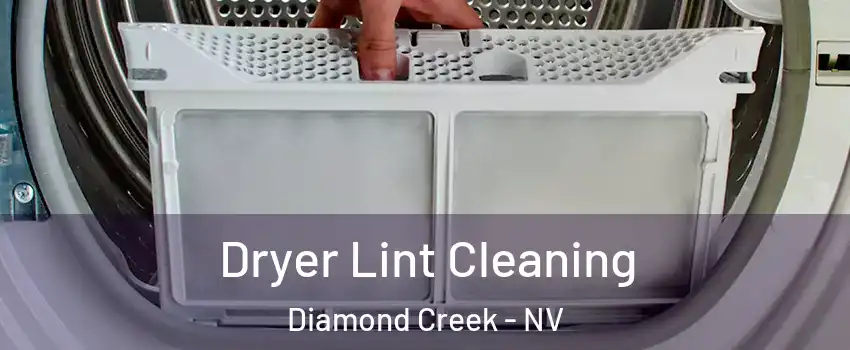 Dryer Lint Cleaning Diamond Creek - NV