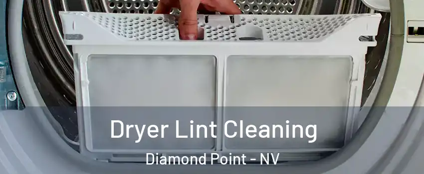 Dryer Lint Cleaning Diamond Point - NV