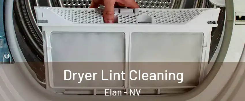 Dryer Lint Cleaning Elan - NV