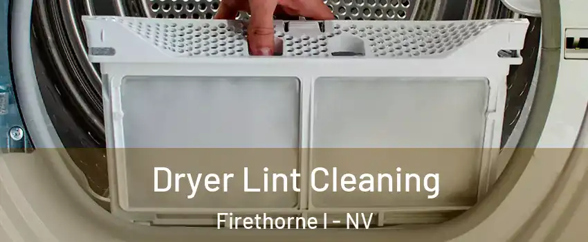 Dryer Lint Cleaning Firethorne I - NV