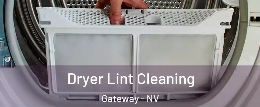 Dryer Lint Cleaning Gateway - NV