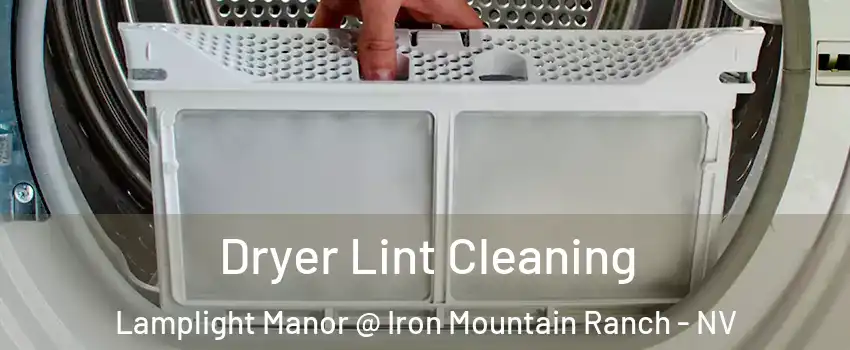 Dryer Lint Cleaning Lamplight Manor @ Iron Mountain Ranch - NV