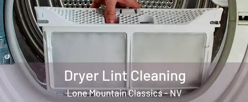 Dryer Lint Cleaning Lone Mountain Classics - NV