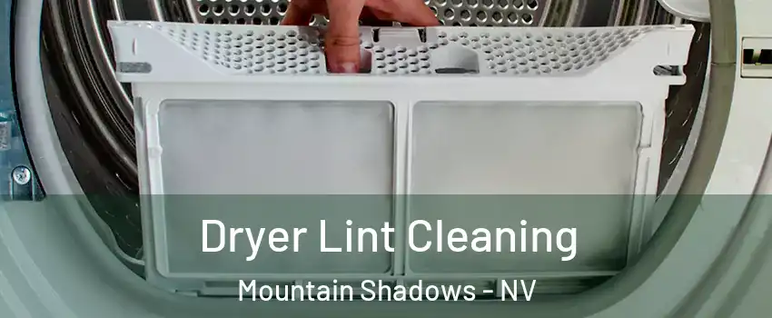 Dryer Lint Cleaning Mountain Shadows - NV