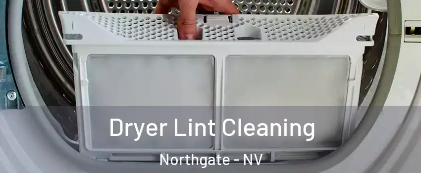 Dryer Lint Cleaning Northgate - NV