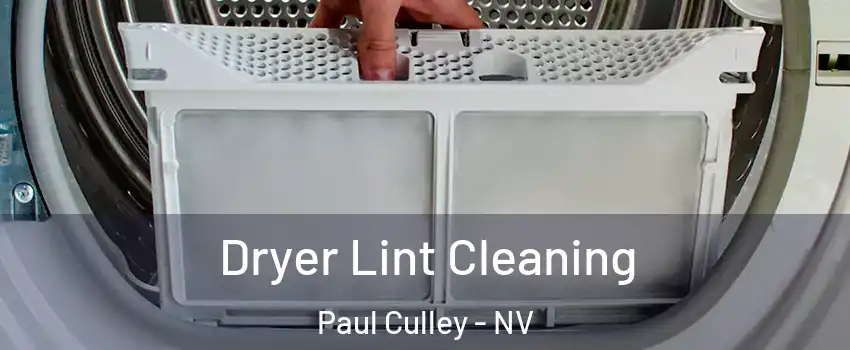 Dryer Lint Cleaning Paul Culley - NV
