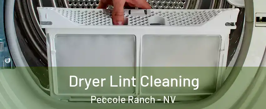 Dryer Lint Cleaning Peccole Ranch - NV
