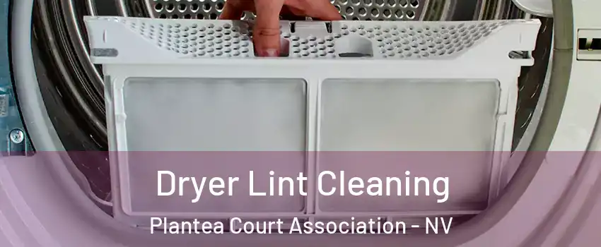 Dryer Lint Cleaning Plantea Court Association - NV