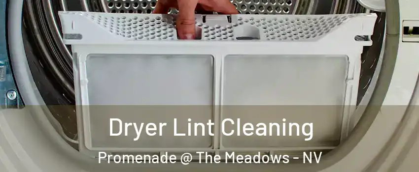 Dryer Lint Cleaning Promenade @ The Meadows - NV