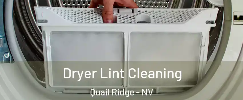 Dryer Lint Cleaning Quail Ridge - NV