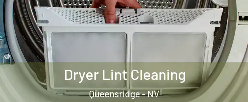 Dryer Lint Cleaning Queensridge - NV