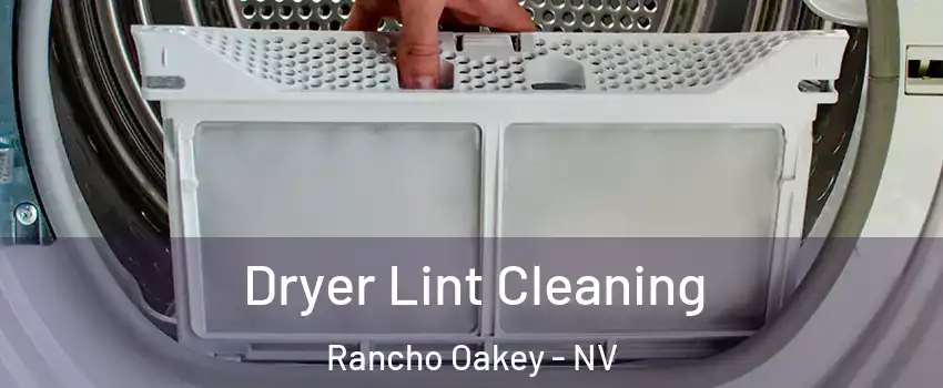 Dryer Lint Cleaning Rancho Oakey - NV