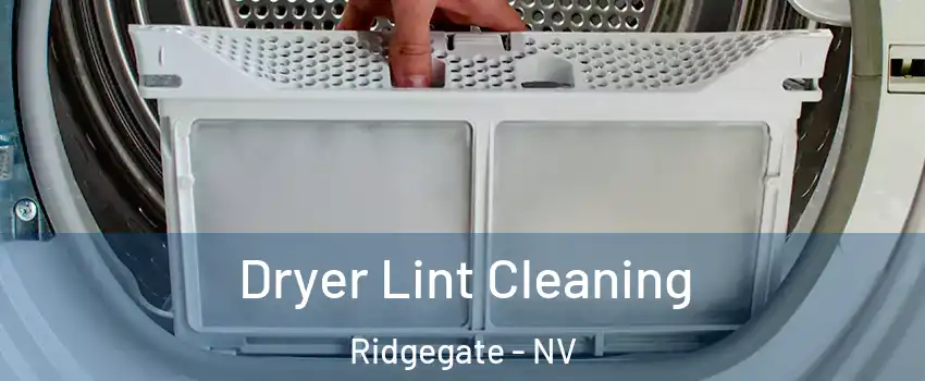 Dryer Lint Cleaning Ridgegate - NV