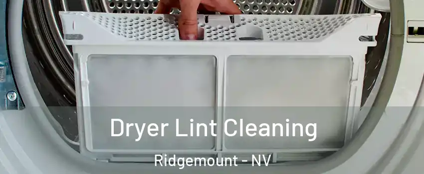 Dryer Lint Cleaning Ridgemount - NV