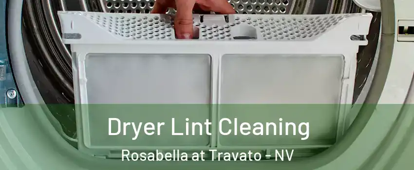 Dryer Lint Cleaning Rosabella at Travato - NV
