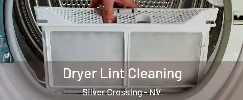 Dryer Lint Cleaning Silver Crossing - NV