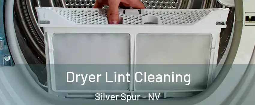 Dryer Lint Cleaning Silver Spur - NV