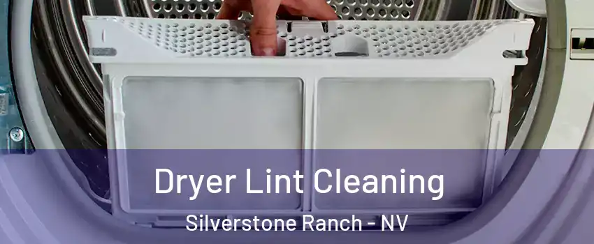 Dryer Lint Cleaning Silverstone Ranch - NV