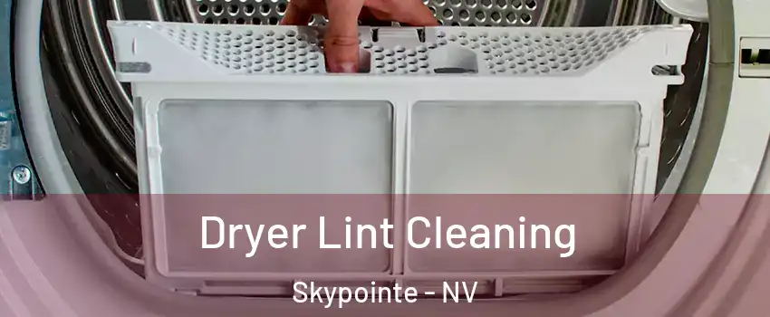 Dryer Lint Cleaning Skypointe - NV