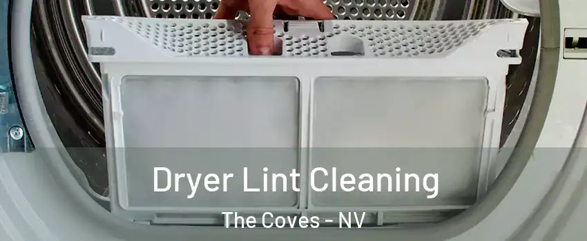 Dryer Lint Cleaning The Coves - NV